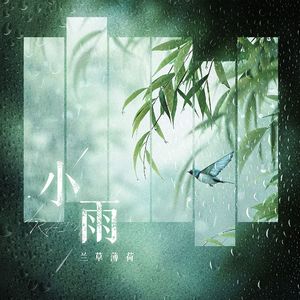 小雨