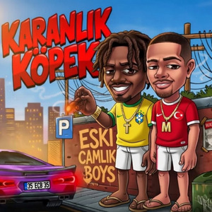Karanlık Köpek