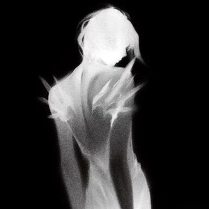 我不想你成为另一颗树的春天