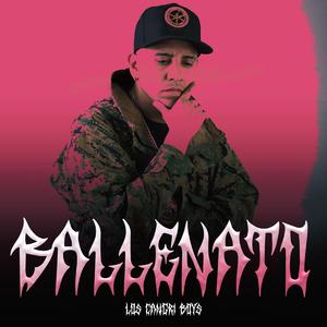 Ballenato