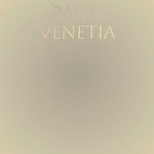 Steamrollered Painted