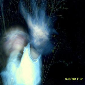 VOID (feat. XJovianstringsX)