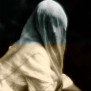 плоть и задира