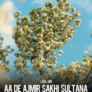 Aa De Ajmir Sakhi Sultana