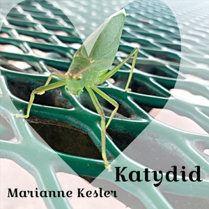 Katydid