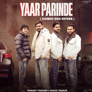Yaar Parinde (Slowed and Reverb)