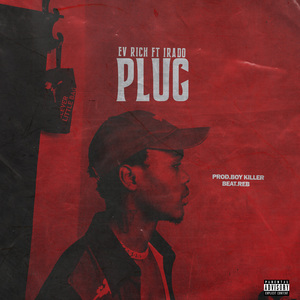 Plug