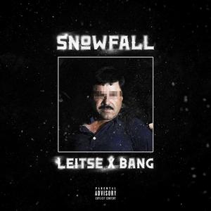SNOWFALL (feat. Leitse)