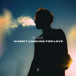 Wasn't Looking for Love