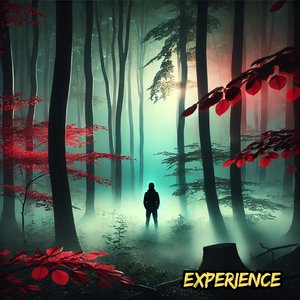 Experience