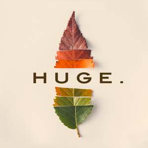 We're Gonna Celebrate