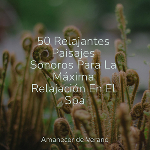 Susurros desde los Trópicos