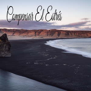 Espectativas Y Concentracion