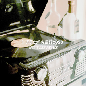 还是觉得你最好2023（Hovy Lee remix）