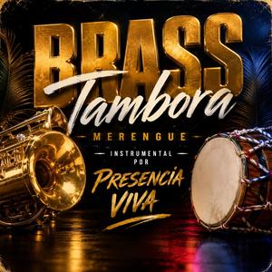 Brass tambora merengue.