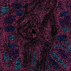 PRELUDE TO AN ANEURYSM