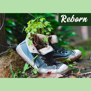 Reborn