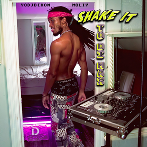 Shake it To DI MAX (Remix)