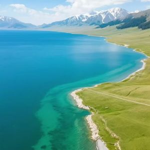 绿意漫过叁贰肆