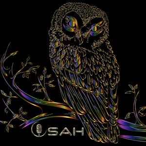 Owl (Instrumental) (Instrumental)