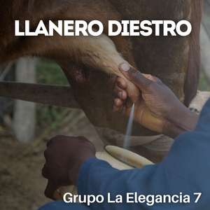 Llanero Diestro