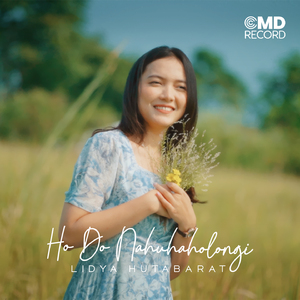 Ho Do Nahuhaholongi