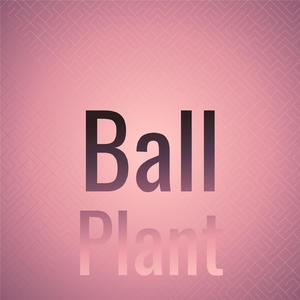 Ball Plant