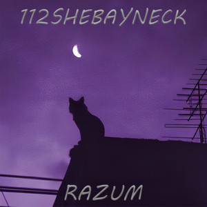 Razum