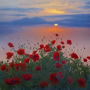 芳华慢+霜雪千年.