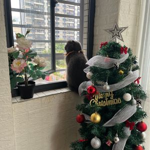 Lonely Christmas（Prod By 牙刷/Pvki/YzSword）