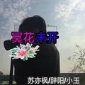 冥花未开