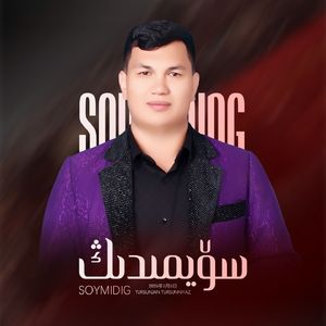 Soymidig（你不爱我）