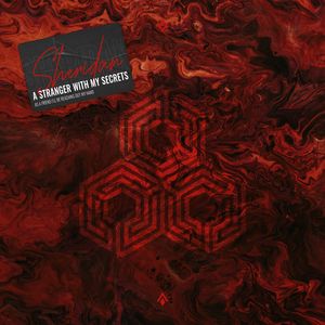 A Stranger With My Secrets