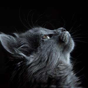 满江红 八女投江雕塑赞 (伴奏)