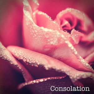 Consolation
