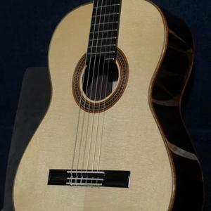 花儿与少年 吉他独奏