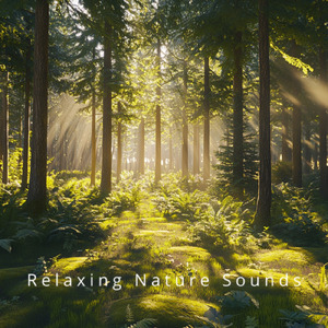 Complete Sleep Solution