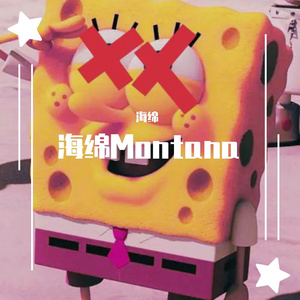 海绵Montana