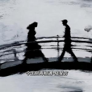 今生别再相遇