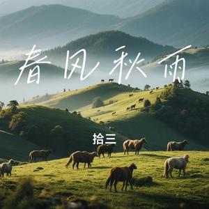春风秋雨 (Remix)