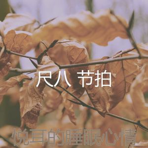 温和冥想梦想