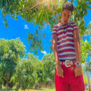 Dividends