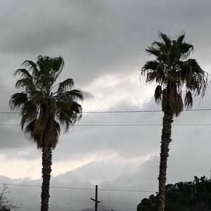 Feelz (feat. Wangsap)