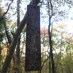 THE DANCER'S COGNITION (feat. Federico Troiani, Rossella Ruini, Riccardo Cioni) (Remix)