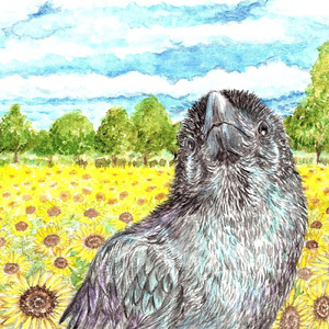 日常的ハッピー