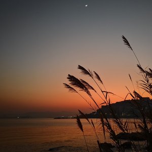 城市夜晚的孤独与慰藉