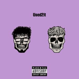 Used2it (feat. ruexan)