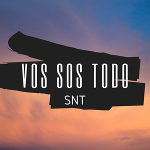 Vos sos todo
