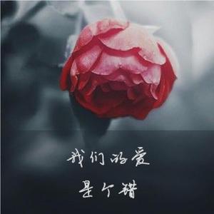 我们的爱是个错