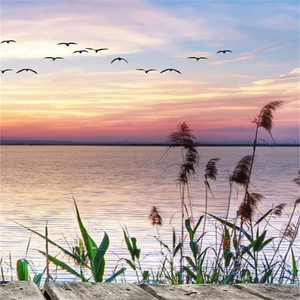 匆匆半生 (烟嗓版)